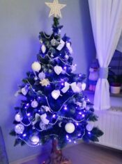 choinki80966652_1176159205910488_8591343865259098112_o-20191224