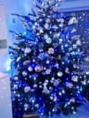 choinki81008264_1009774939409042_2267023174942064640_o-20191224