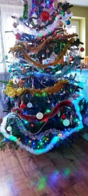 choinki81010394_2713357452059496_1601988677892833280_o-20191224