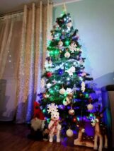 choinki81040317_2690350601042964_4213023176872951808_o-20191224