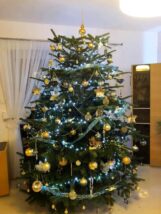 choinki81063534_2652552604837810_3843684748517965824_n-20191224