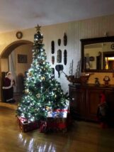 choinki81272961_2567439773291727_2703433668017258496_o-20191224