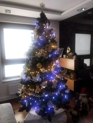 choinki81309082_2869187523114855_5608583545992773632_n-20191224