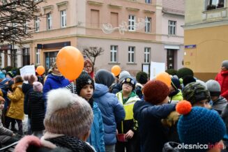 manifestacja_przemocDSC_7309-008