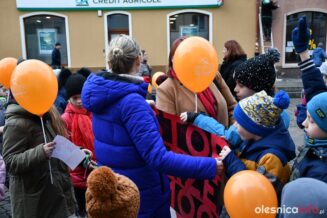 manifestacja_przemocDSC_7315-014