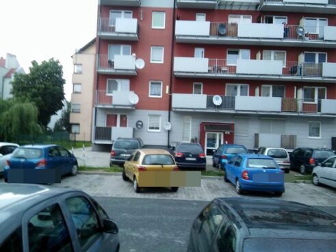 miszcze1!!!!!!!!!!!!!!!!!