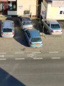 miszcze78098313_3217190901641213_3369461036951273472_o-003