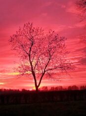 niebo80762393_1624536491021057_4085840734152818688_o-20191231