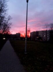 niebo81015322_2583650768529572_4284555616669663232_o-20191231