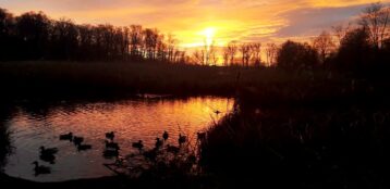 niebo81095675_2788844991175977_7735169644067028992_o-20191231