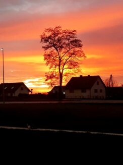 niebo81262360_2480597988733481_2740590551081418752_o-20191231