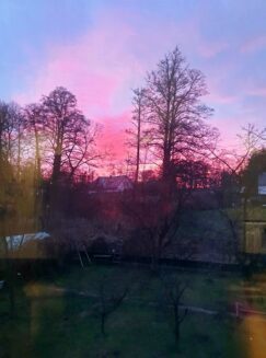 niebo81276513_790252621453020_8803585807404236800_o-20191231