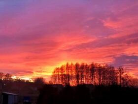 niebo81432199_2669259469833790_8595976004667703296_n-20191231