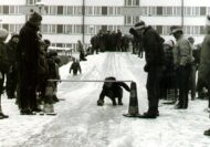 stare_zdjęcia_olesnica12593739_452709308258442_5411230251644919451_o-20191225