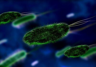 W powiecie oleśnickim nie ma osoby zagrożonej koronawirusem