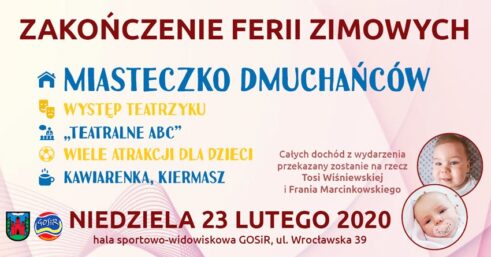 gosir84268511_492154258026469_7169091545704955904_o-20200222