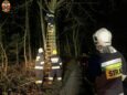Strażacy znów usuwali konary drzew wiszące nad drogami