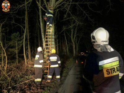 Strażacy znów usuwali konary drzew wiszące nad drogami
