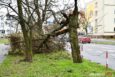 Jeszcze do popołudnia będzie mocno wiało