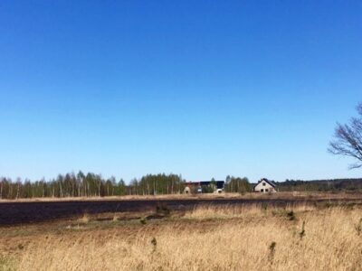 Spłonęło kilkadziesiąt hektarów nieużytków