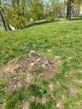 zamekimage-20-04-20-02-54-2-20200421