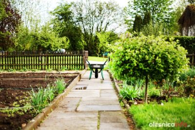 Ogromne zainteresowanie ogrodami. Działki schodzą niemal na pniu. Gdzie można je dostać za darmo, a gdzie trzeba słono zapłacić?