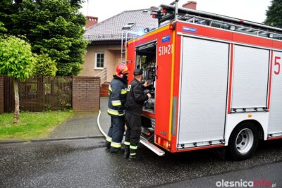 Niewielki pożar na oleśnickim Lucieniu