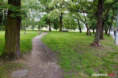 Czy na terenie przy Spacerowej pozostanie zieleń? Rozpoczyna się kolejna dyskusja na temat zagospodarowania tego miejsca