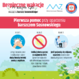 Jak rozpoznać barszcz Sosnowskiego? Pierwsza pomoc przy oparzeniu
