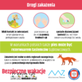 Bąblowica: zanim zjesz – dokładnie umyj