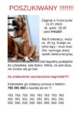 Gdzie jest Faust? Pies wymaga opieki weterynaryjnej. Pomóż mu wrócić do domu