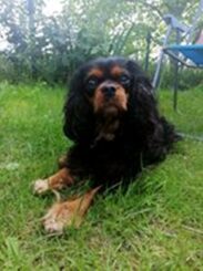 psy103201875_3661762953850536_1166952849480264227_o-019