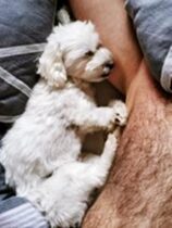 psy106029585_3005964386166415_8672357408240411391_o-023