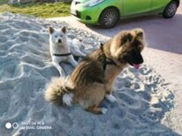 psy106070134_3030245047083595_5368707425302290647_o-025