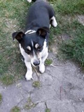 psy106075114_3094356667278456_4150655702895652846_o-026