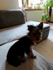 psy106088021_3281309701920821_2731146167006469394_o-030