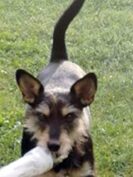 psy106088495_1377631575780870_1209923725944579702_o-031