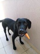 psy106095098_3318074781585107_7883909802825964507_o-033