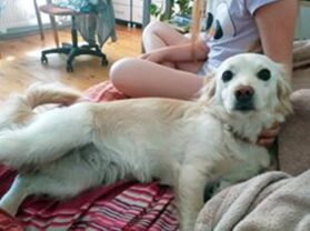 psy106141718_3031313323624799_8284451642586589967_o-037