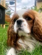 psy106211148_4715906511768544_4846191309457802387_n-039