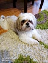 psy106238946_3191712520889062_6564395207113959529_o-040