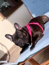 psy106265682_3282712781784712_2701832320387323370_n-041