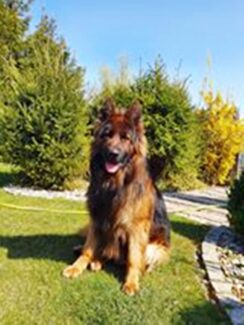 psy106279367_2990196321057008_5077929531311989719_o-042