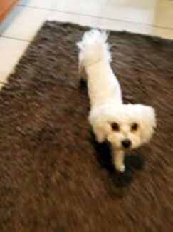 psy106279954_3119662058092783_5302665034073016478_o-043