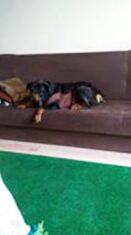 psy106297263_270842094184901_3907557841735375788_o-044