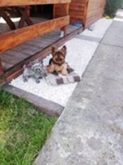 psy106312029_3067905069957652_2351805842517251743_o-045