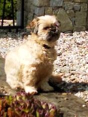 psy106327185_2651927918414786_8559703548551674584_o-046