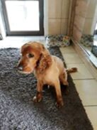 psy106330944_3119661098092879_7810967591552584832_o-047