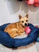 psy106340104_10206885240806693_581403550397351264_o-049