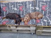 psy106346643_2633456740260318_1270547460578838205_o-052